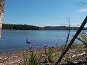 Lot 12 Sabre Drive, Corbetts Cove, NS 