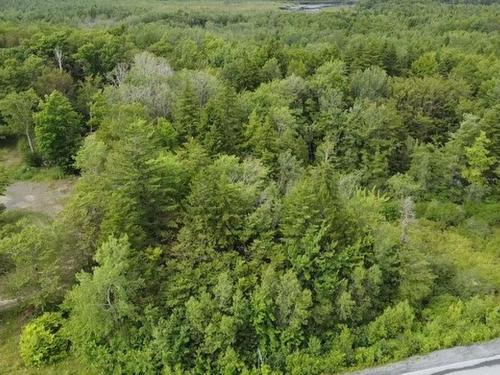 Lot 4 Crouse Settlement Road, Italy Cross, NS 