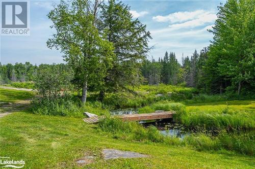 1959 Harburn Road, Haliburton, ON - Outdoor With View