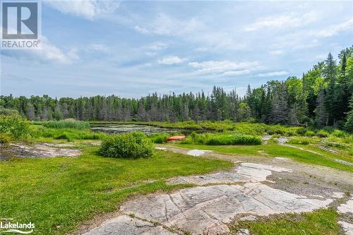 1959 Harburn Road, Haliburton, ON - Outdoor With View