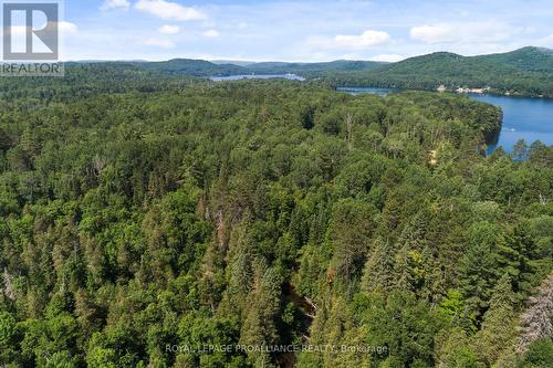 0 Grunwald (Lot C) Road, Madawaska Valley, ON 