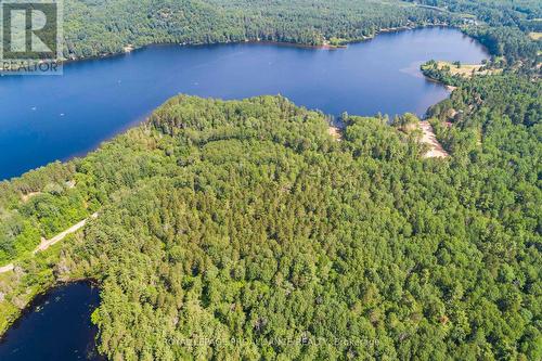 0 Grunwald (Lot C) Road, Madawaska Valley, ON 