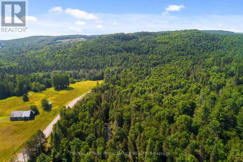 0 Grunwald (Lot C) Road, Madawaska Valley, ON 