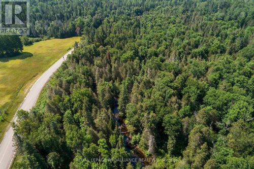 0 Grunwald (Lot C) Road, Madawaska Valley, ON 