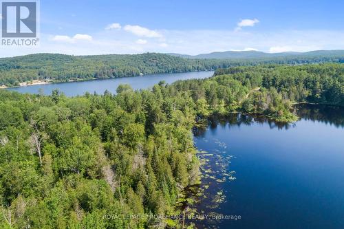 0 Grunwald Road, Madawaska Valley, ON 