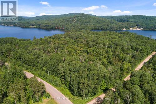 0 Burbidge Lane, Madawaska Valley, ON 