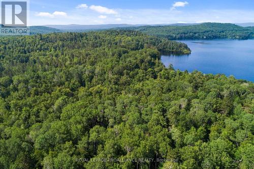 0 Burbidge Lane, Madawaska Valley, ON 