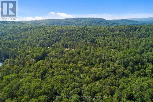 0 Burbidge Lane, Madawaska Valley, ON 