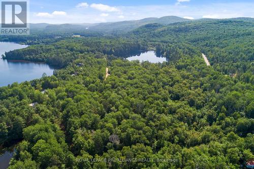 0 Burbidge Lane, Madawaska Valley, ON 