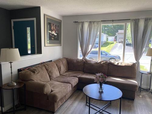 1115 Minto Avenue, Kenora, ON - Indoor Photo Showing Living Room