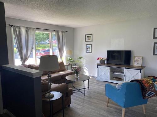 1115 Minto Avenue, Kenora, ON - Indoor Photo Showing Living Room