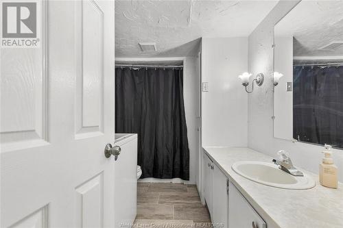 14 Robin, Lakeshore, ON - Indoor Photo Showing Bathroom