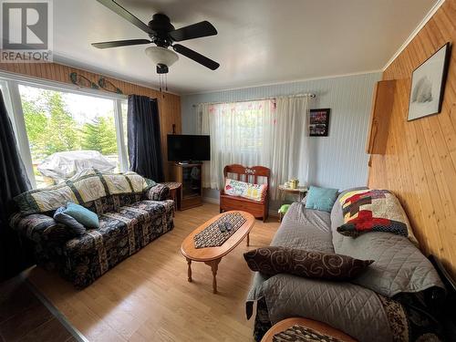 13 Paul'S Lake, Badger, NL - Indoor Photo Showing Living Room