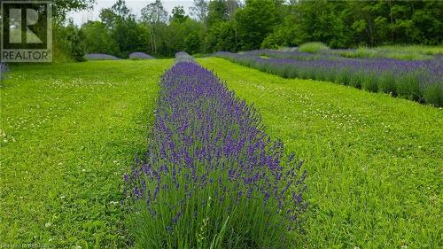 1245 East Road, Northern Bruce Peninsula, ON - Outdoor