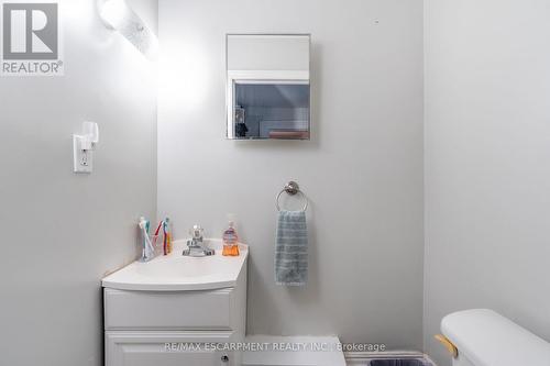 25 Albion Street, Brantford, ON - Indoor Photo Showing Bathroom