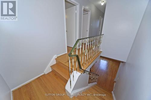 9 Ivy Green Crescent, Toronto, ON - Indoor Photo Showing Kitchen