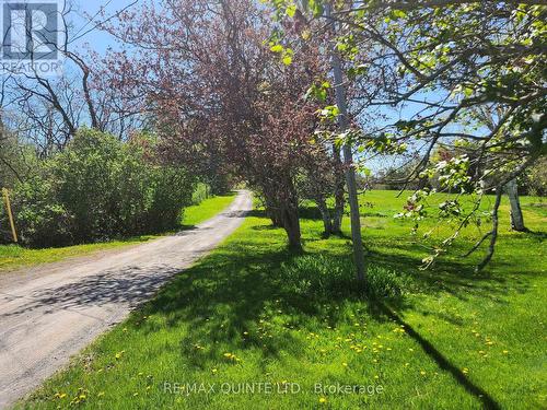 29 & 49 Trumble Lane, Prince Edward County, ON - Outdoor With View