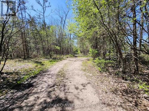 29 & 49 Trumble Lane, Prince Edward County, ON - Outdoor With View