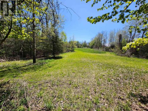 29 & 49 Trumble Lane, Prince Edward County (Picton), ON - Outdoor With View