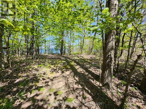 29 & 49 Trumble Lane, Prince Edward County (Picton), ON - Outdoor With View