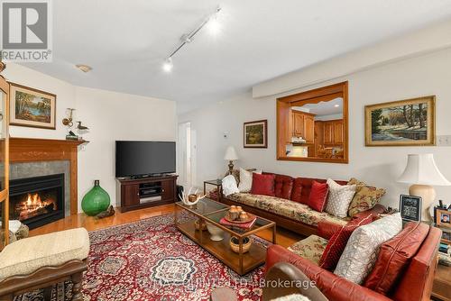233 County Rd 28 Road, Prince Edward County, ON - Indoor Photo Showing Living Room With Fireplace