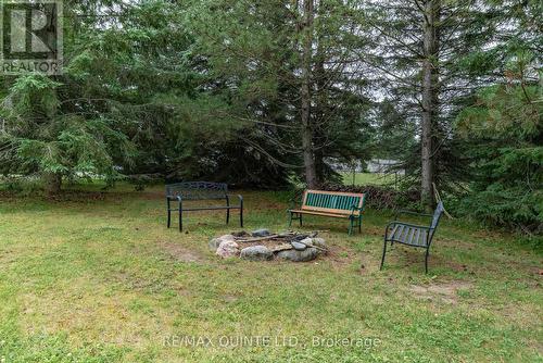 233 County Rd 28 Road, Prince Edward County, ON - Outdoor