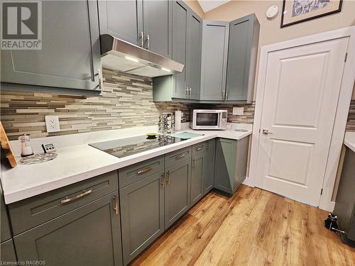 44 Hemlock Road, South Bruce Peninsula, ON - Indoor Photo Showing Kitchen With Double Sink