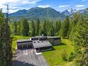 105 Castle Mountain Road, Fernie, BC  - Outdoor With View 