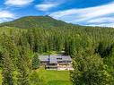 105 Castle Mountain Road, Fernie, BC  - Outdoor With View 