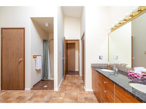 105 Castle Mountain Road, Fernie, BC - Indoor Photo Showing Bathroom