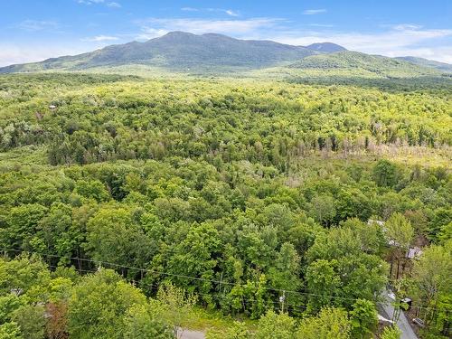 Land/Lot - Ch. De La Montagne-Cachée, Eastman, QC 