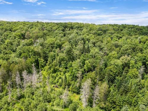 Land/Lot - Ch. De La Montagne-Cachée, Eastman, QC 