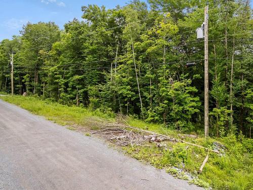 Land/Lot - Ch. De La Montagne-Cachée, Eastman, QC 