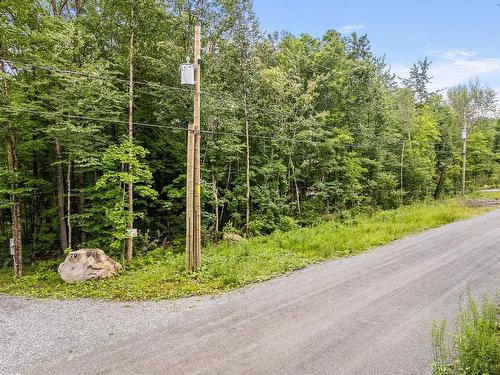 Land/Lot - Ch. De La Montagne-Cachée, Eastman, QC 