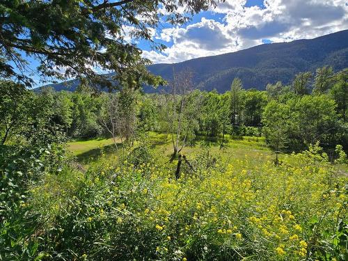 9073 Kealty Road, Kamloops, BC - Outdoor With View