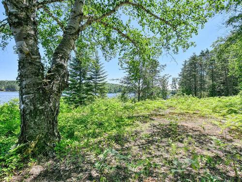 Land/Lot - 106 Ch. Chaperon, Saint-Donat, QC - Outdoor