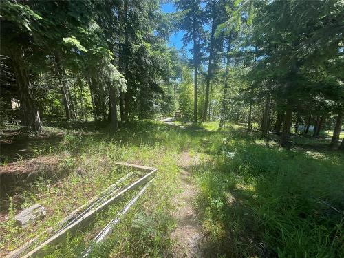 2639 Airstrip Road, Anglemont, BC - Outdoor With View