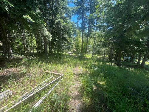 2639 Airstrip Road, Anglemont, BC - Outdoor