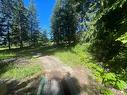 2639 Airstrip Road, Anglemont, BC  - Outdoor 