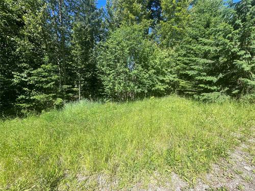 2639 Airstrip Road, Anglemont, BC - Outdoor