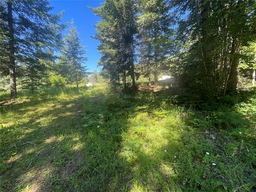 2639 Airstrip Road, Anglemont, BC - Outdoor