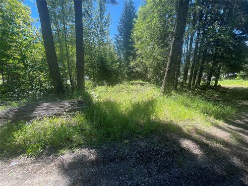 2639 Airstrip Road, Anglemont, BC - Outdoor With View