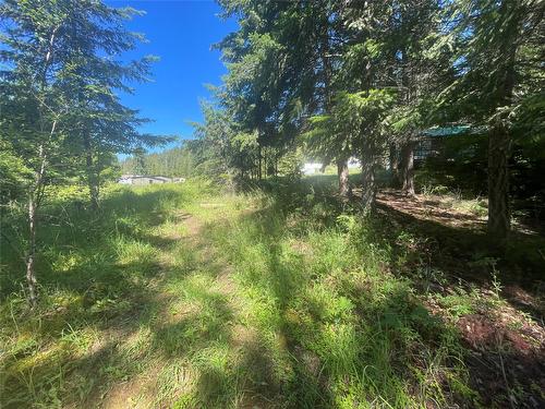 2639 Airstrip Road, Anglemont, BC - Outdoor With View