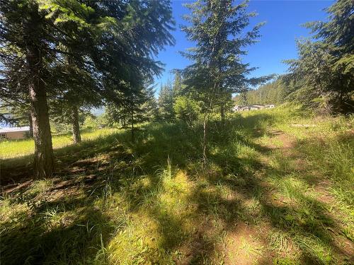 2639 Airstrip Road, Anglemont, BC - Outdoor With View