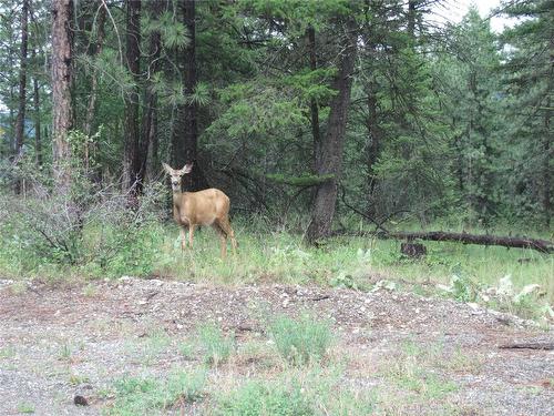 680 Fairbridge Road, Fintry, BC - Outdoor