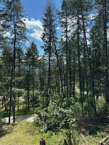 Lot 95 Udell Road, Vernon, BC - Outdoor With View