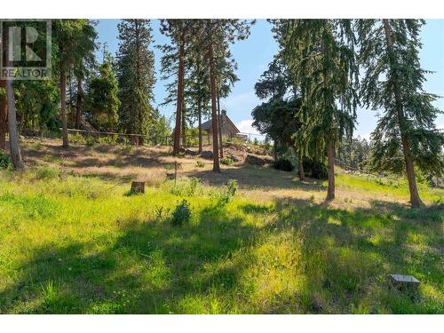 174 Rimrock Road, Kelowna, BC - Outdoor With View