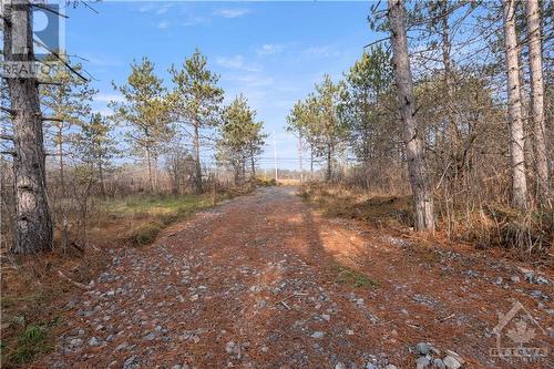 Driveway heading back to Hwy 43 - 621 Highway 43 West, Merrickville, ON 