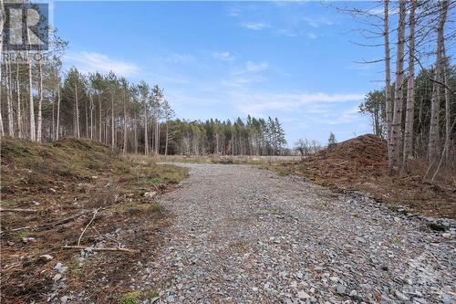 Driveway heading towards cleared building footprint - 621 Highway 43 West, Merrickville, ON 