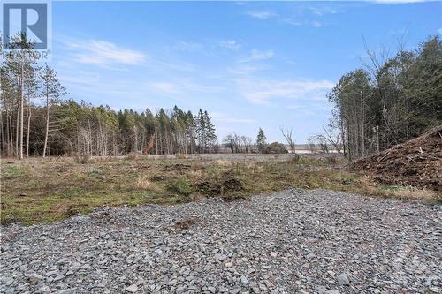 Spring view of cleared area - 621 Highway 43 West, Merrickville, ON 